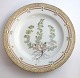 Royal Copenhagen, Flora Danica. Middags tallerken. Design #3549. Diameter 25 cm. 
(1 sortering). Artemisia rupestris L