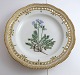 Royal Copenhagen. Flora Danica plate w. open-work border. Diameter 25 cm. Model 
3553. (1 quality). Polemonium humile Willd