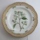 Royal Copenhagen. Flora Danica plate w. open-work border. Diameter 25 cm. Model 
3553. (1 quality). Rubus villicanlis Köhl