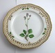 Royal Copenhagen Flora Danica. Lunch plate with open-work border. Design # 3554. 
Diameter 23 cm. (1 quality). Saxifraga nivalis L