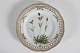 Royal CopenhagenFlora DanicaMiddagstallerkenm/blondekant 3553