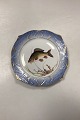 Royal Copenhagen Blåt Fiskestel Tallerken No. 19/3002