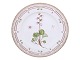 Flora DanicaMiddagstallerken 25,7 cm. #3549