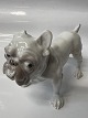 Bing & Grøndahl Hundefigur, BulldogDek. nr. 1676