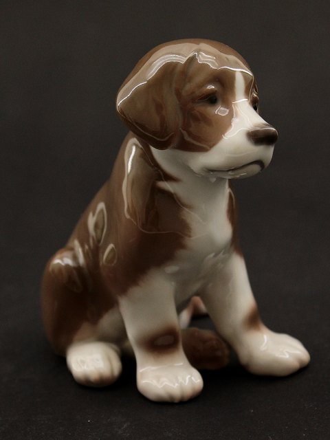 Bing & Grøndahl Figur Hundehvalp No 1926